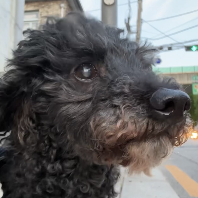 FAQ 이미지